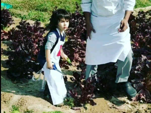 गार्डनिंग