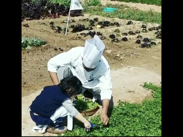 मेथी के परांठे