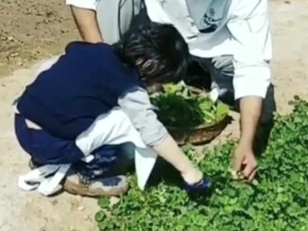 ध्यान से काम