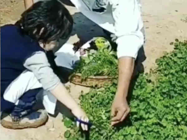 घर का खाना पसंद