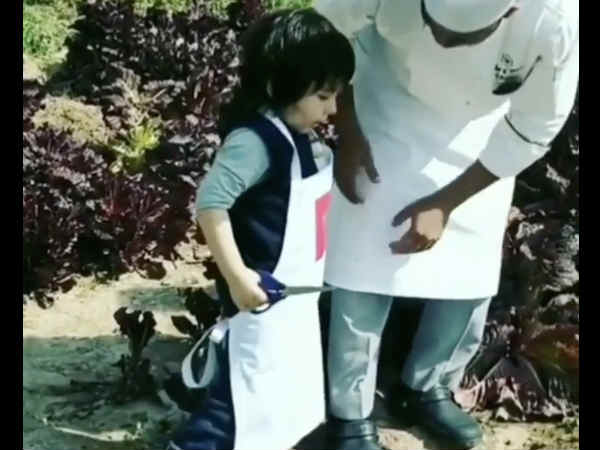 तैमूर को क्या पसंद