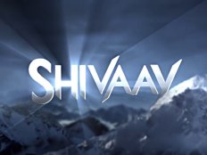 बॉक्स ऑफिस PREDICTION: अजय देवगन की 'शिवाय'.. धमाकेदार ओपनिंग!