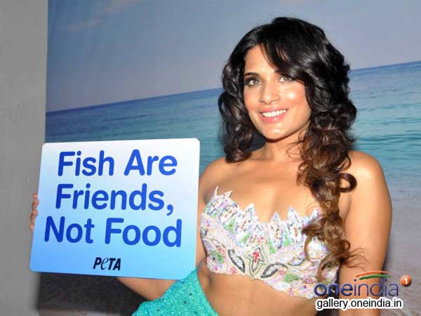 Fish are friends not food.