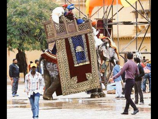 सेट पर हाथी भी सेट पर हाथी भी