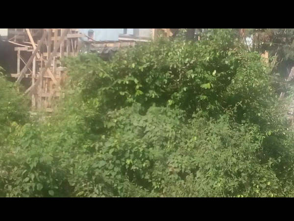 1980 का गुजरात 1980 का गुजरात