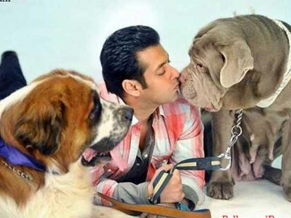 कुत्तों से है प्यार कुत्तों से है प्यार