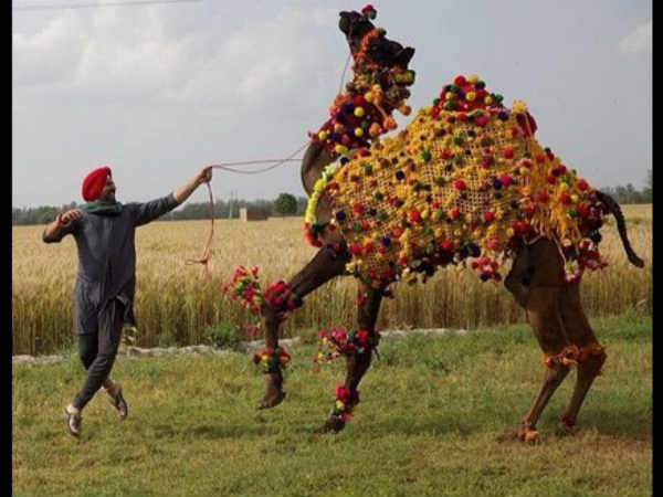 50 करोड़ का वीकेंड 50 करोड़ का वीकेंड