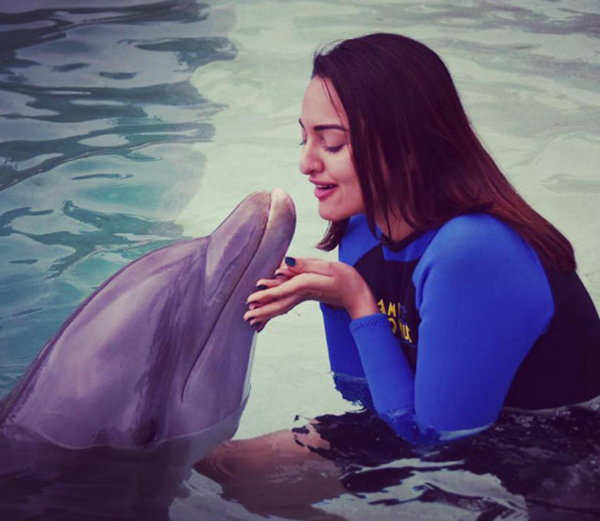 देखिए आप भी