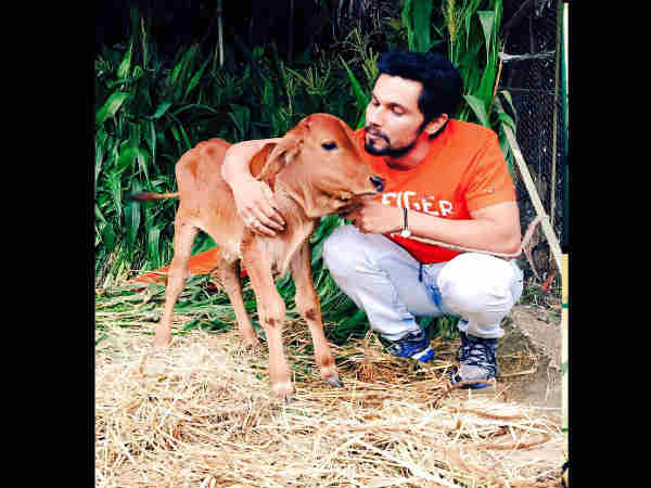 तस्वीरें