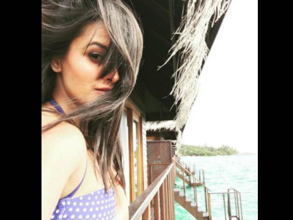 तस्वीरें..