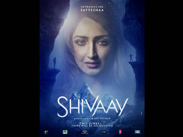 शिवाय की एक्ट्रेस शिवाय की एक्ट्रेस
