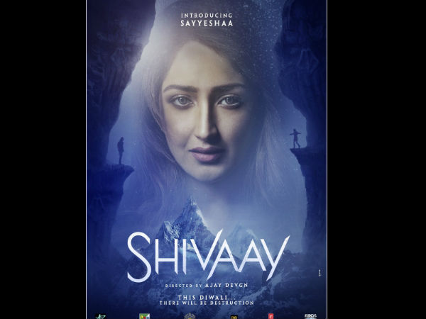 तस्वीरें तस्वीरें