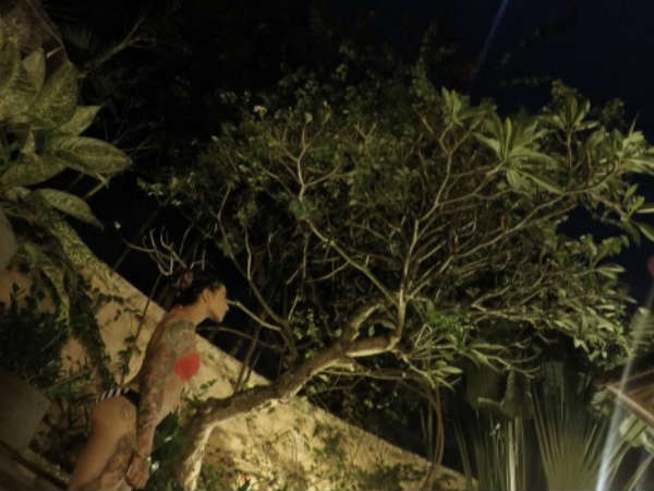 Bani J Bani J