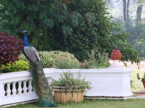 पटौदी पैलेस पटौदी पैलेस
