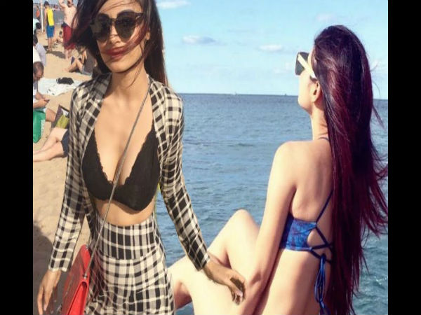 टीवी की कस्तूरी टीवी की कस्तूरी