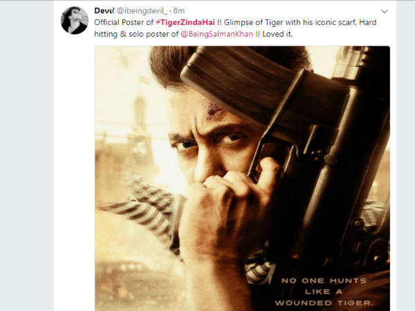 टाईगर की झलक टाईगर की झलक