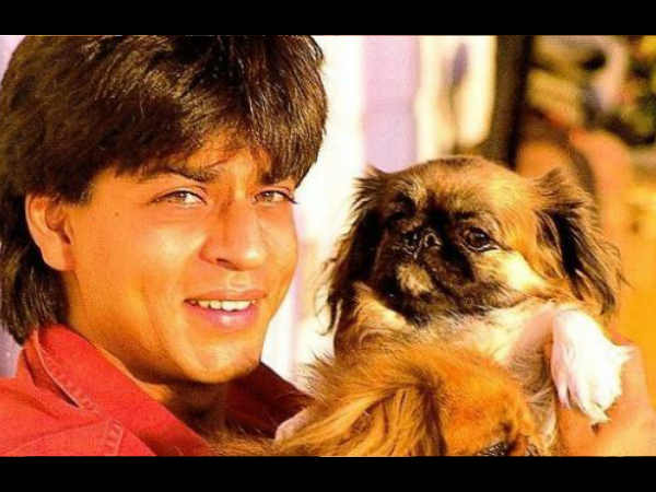 शाहरुख खान शाहरुख खान