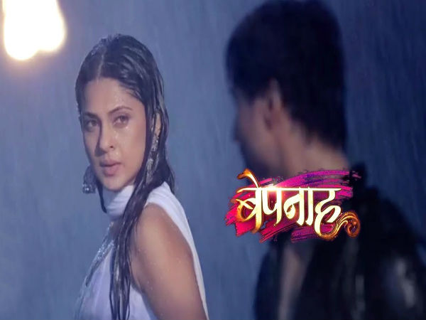 नंबर 5