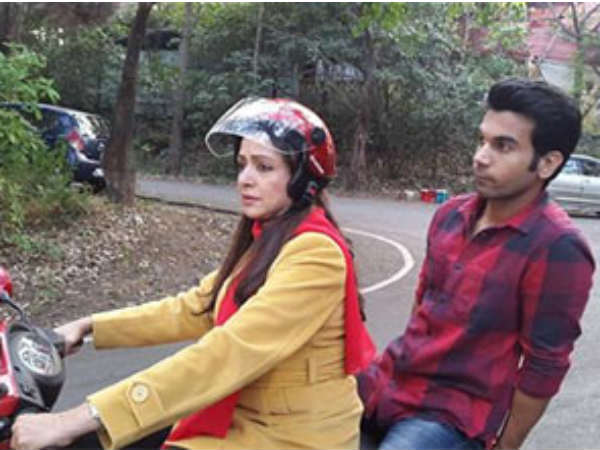 शिमला मिर्च शिमला मिर्च