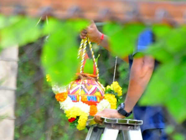 घूम धाम से मनाया त्योहार घूम धाम से मनाया त्योहार