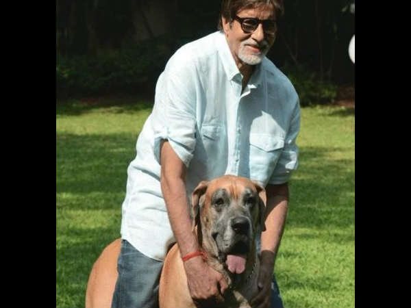 अमिताभ बच्चन अमिताभ बच्चन