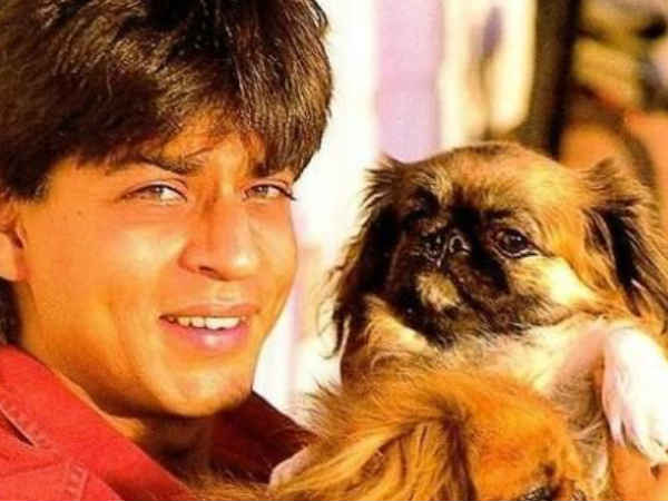 शाहरूख खान शाहरूख खान