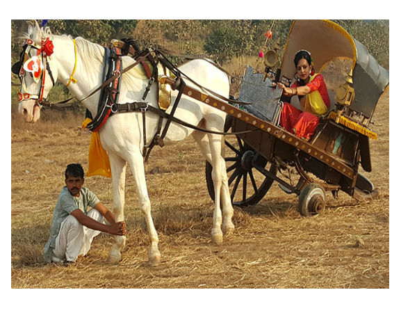 चावल की तस्करी से खतरों की खिलाड़ी