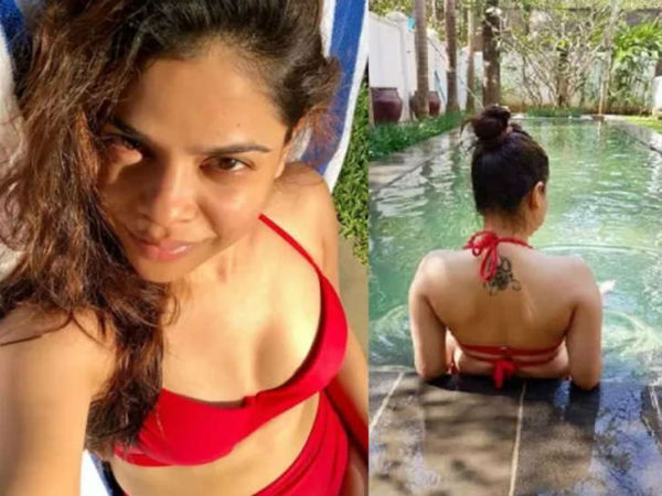 सबसे बड़ी फैन सबसे बड़ी फैन