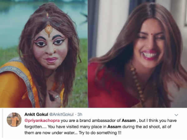 प्रियंका चोपड़ा को जमकर लताड़ा गया