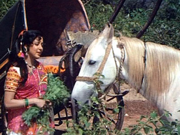 जानवर भी फेमस जानवर भी फेमस