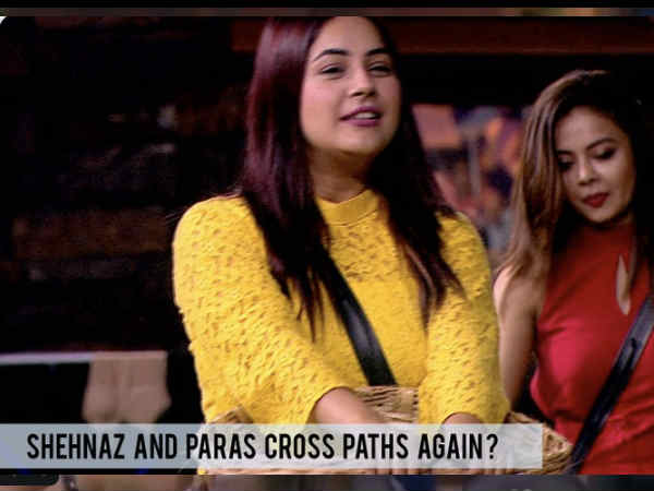 पारस और शहनाज़