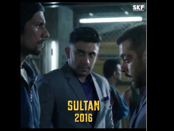 सुलतान - 2016 सुलतान - 2016