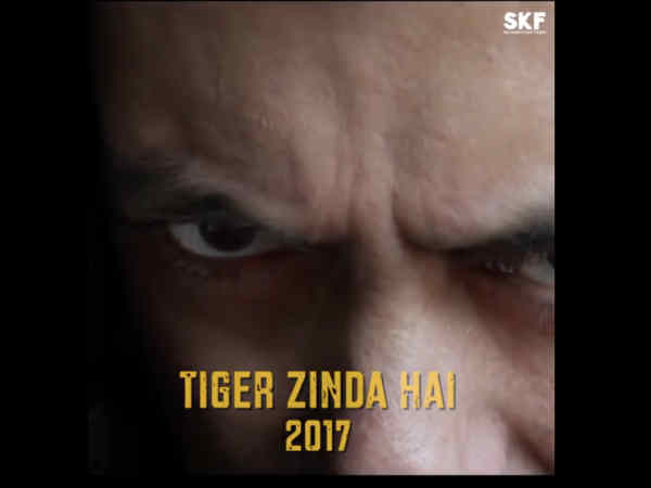टाईगर ज़िंदा है - 2017 टाईगर ज़िंदा है - 2017