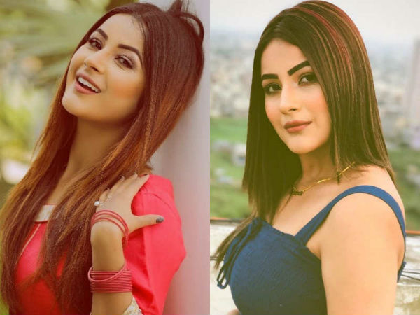 Shehnaaz Gill Shehnaaz Gill