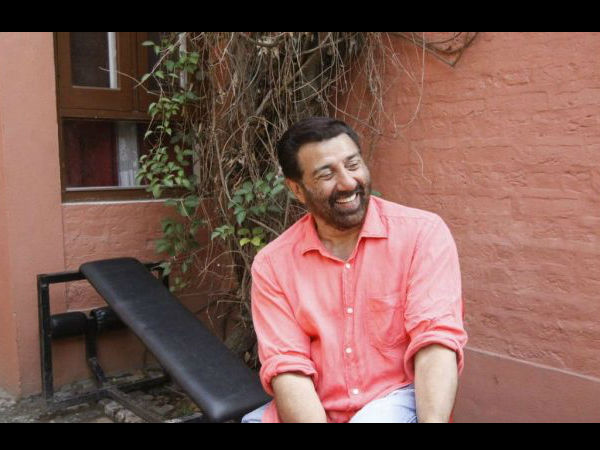 पंजाब में अभी तक वायरस से जुड़े 29 मामले पंजाब में अभी तक वायरस से जुड़े 29 मामले