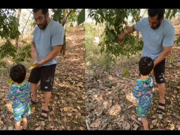 आहिल के साथ सलमान फल तोड़ते हुए