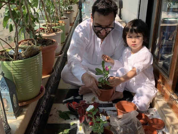 सीख रहे हैं बागबानी सीख रहे हैं बागबानी