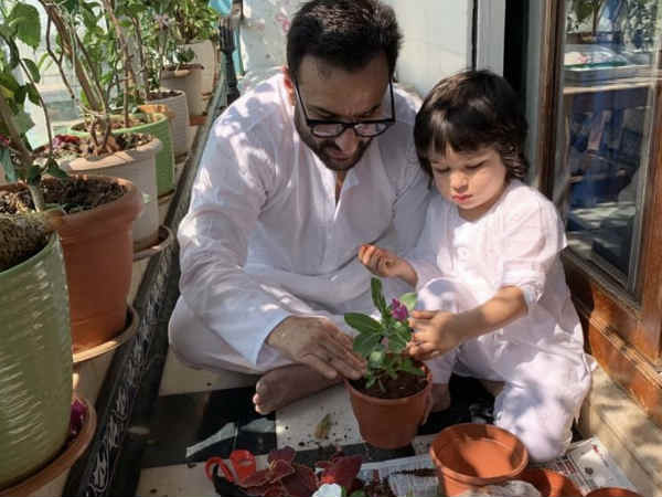 बस तैमूर के दीवाने बस तैमूर के दीवाने