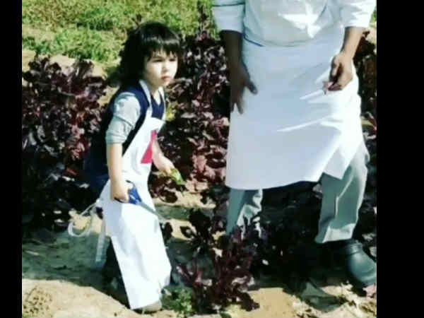 क्या है पसंद क्या है पसंद
