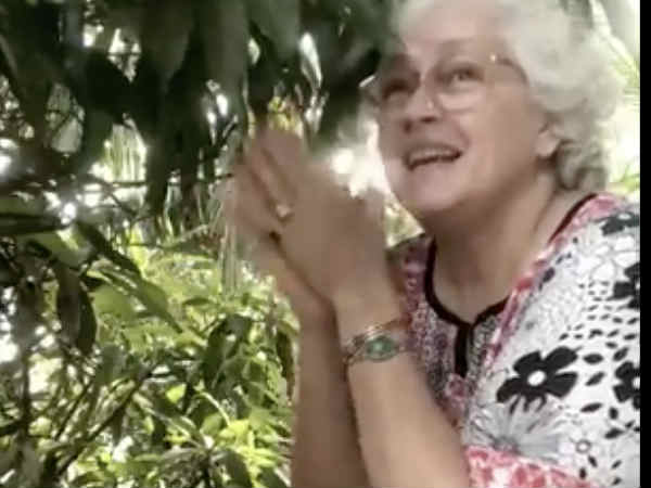 किया है समर्थन किया है समर्थन