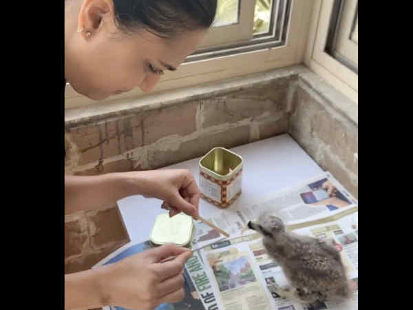 चंगेज़ खान चंगेज़ खान