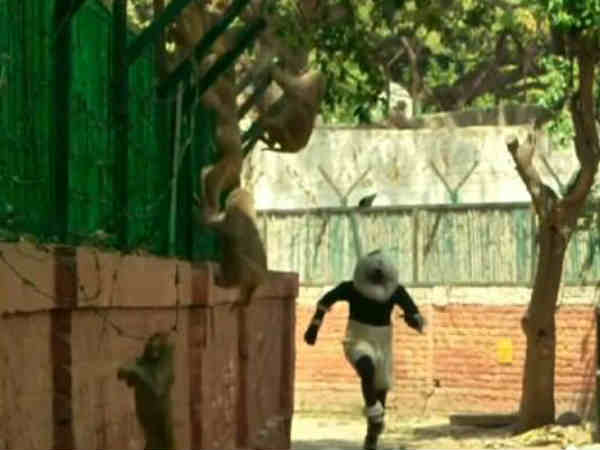 सधा हुआ स्क्रीनप्ले