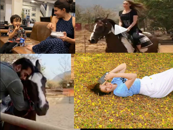 सलमान खान के साथ ये तीन खास दोस्त हैं मौजूद सलमान खान के साथ ये तीन खास दोस्त हैं मौजूद