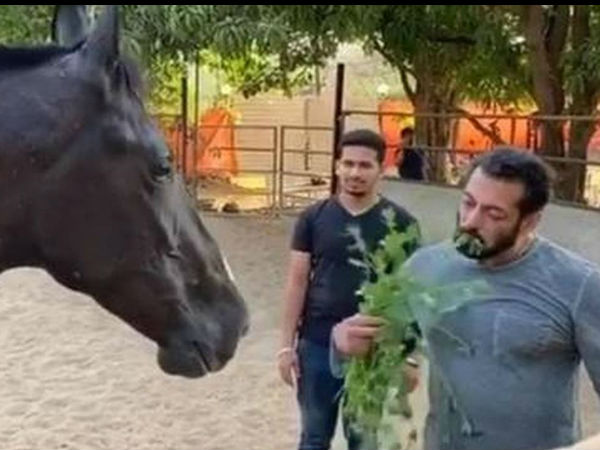 लॉकडाउन में सलमान को याद आए पुराने दिन लॉकडाउन में सलमान को याद आए पुराने दिन