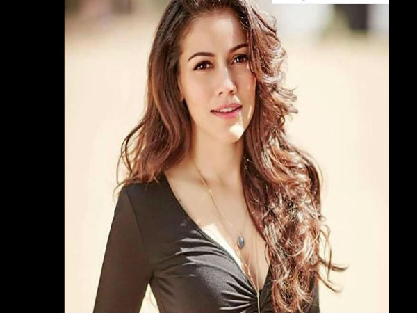सलमान खान की करीबी सलमान खान की करीबी