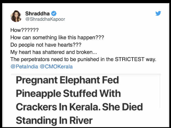 श्रद्धा कपूर का दुख