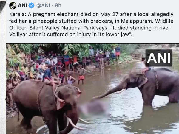 लोगों ने जताया दुख