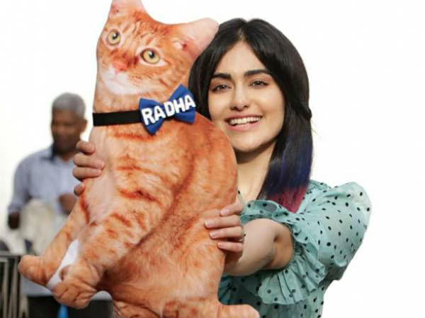 इन दिनों चर्चा में फिर से है नेपोटिज्म, आप की क्या राय है?