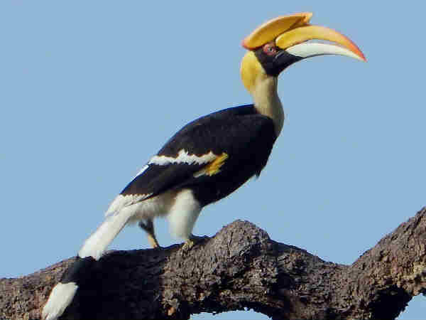 प्रश्न नं. 7