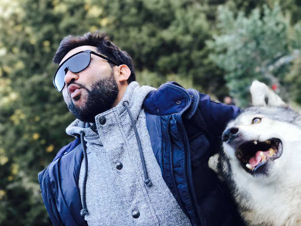 टाइगर ज़िंदा है टाइगर ज़िंदा है